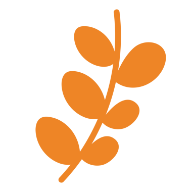 Sonbahar elementi için portakal yaprakları, logo, ikon, meyve, doğa, bitkiler, ağaç, bahçe, piknik, dekorasyon, çıkartma, çizgi film, çizgi roman, baskı, kart, sosyal medya, kartpostal, şirin yamalar, broş, gömlek izi, çiçek deseni