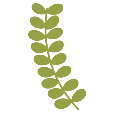 Sonbahar, sonbahar mevsimi, hava durumu, çiçek deseni, piknik, doğa, bitkiler, ağaç, bahçe, gömlek izi, sevimli yamalar, broş, çıkartma, dövme, dekorasyon, klip sanatları, kadın modası, aksesuar, kıyafet, desen, logo, konforlu simge