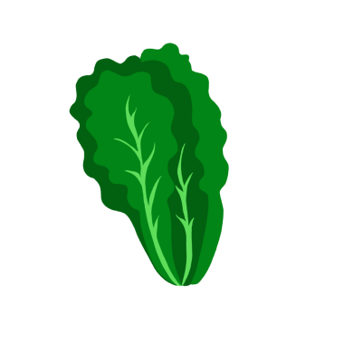 Market, süpermarket, vegan, sebze, yemek, salata, malzeme, sağlıklı, diyet, taze, organik, bitkiler, doğa, bahçe, kafe, restoran, menü, tarif, dekorasyon, ikon, kahvaltı, öğle yemeği, akşam yemeği, yemek kitabı