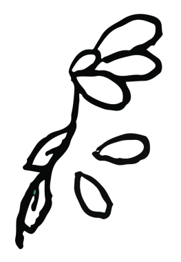 Kötü gün için solmuş çiçeklerin el çizimi, kötü ruh hali, kötü enerji, doğa, bahçe, bitkiler, ağaç, çıkartma, piknik, park, ev bahçesi, çevre, broş, çiçek deseni, çocuk boyama kitabı