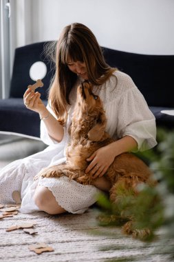 Cocker spaniel köpeği evde yerde sahibine sarılıp oynuyor. Sevimli evcil hayvan, en iyi arkadaşlar.