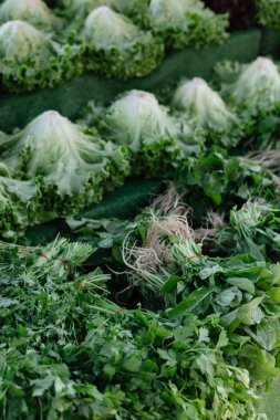 Çarşı tezgahında sulu yeşil marul yaprakları ve otlar