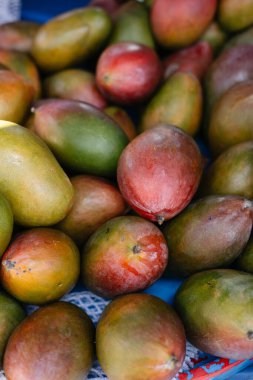 Bir grup egzotik mango meyvesi pazarda bir tezgahta