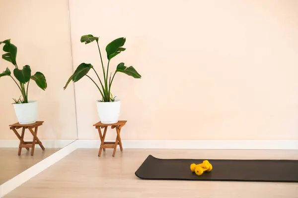 Spor salonundaki boş bir duvarın görüntüsü. Yoga minderi, dambıllar, ayna ve yeşil çiçekli bir kap, kopyalama alanı.