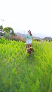 Şirin cocker Spaniel köpeği genç ve güzel bir kadınla eğleniyor ve halka açık bir parkta yeşil çimlerle soyulmuş. Güneşli yaz günü, arka plan, yavaş çekim