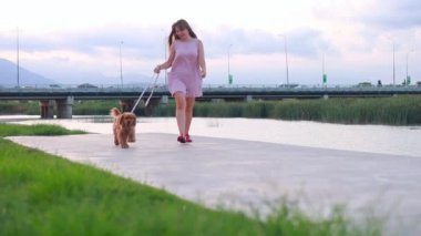 Güzel genç bir kadın Cocker Spaniel köpeğiyle nehir kıyısında yürüyor. Arka planda trafik olan köprü, gün batımı. Yavaş çekim