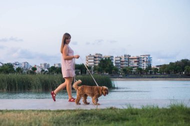 Güzel genç bir kadın Cocker Spaniel köpeğiyle nehir kıyısında yürüyor. Güzel şehir arkaplanı