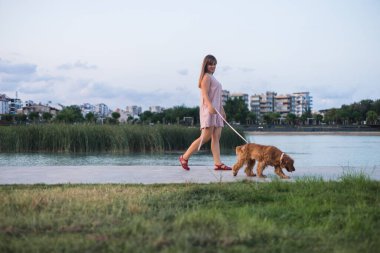 Güzel genç bir kadın Cocker Spaniel köpeğiyle nehir kıyısında yürüyor. Güzel şehir arkaplanı