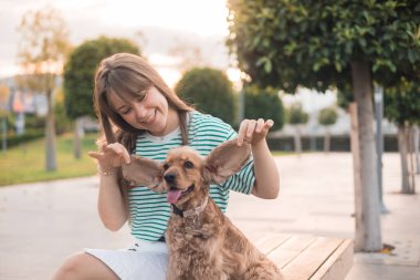 Genç ve güzel bir kadın cocker spaniel köpek kulaklarıyla oynayıp eğleniyor. Yaz günbatımında parka gidiyor.