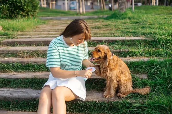 stock image Young beautiful woman combs the dogs fur with special pets tool, sitting on a green grass in public park