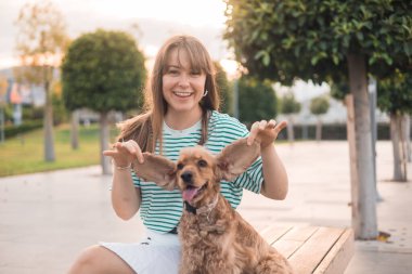 Genç ve güzel bir kadın cocker spaniel köpek kulaklarıyla oynayıp eğleniyor. Yaz günbatımında parka gidiyor.