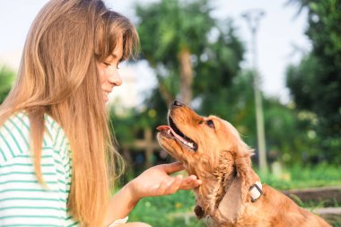 Genç, güzel bir kadın ve köpeğinin portresi. Yazın, halk parkında.