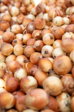 Arkaplan olarak taze soğan, üst görünüm. Pazarda, dükkanda ya da pazarda sebzeler