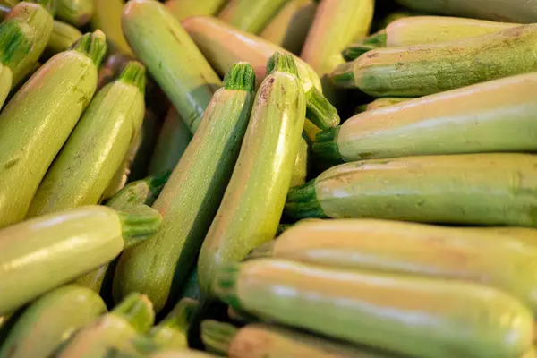 stock image Green zucchini as background image. Fresh organic vegetables on bazaar or market shelf. Summer season healthy food