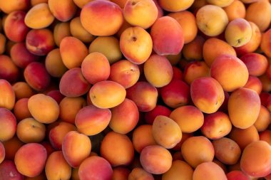 Pazar ya da pazar tezgahında taze portakal ve kırmızı kayısılar mevsim meyveleri, sağlıklı yiyecekler.