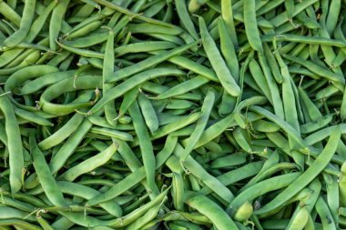 Pişmemiş taze organik fasulye yığını. Kuşkonmaz, Fransız fasulyesi.