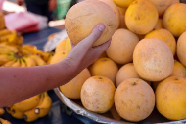 Melon in mens hand. Group of yellow fresh ripe mini melons on local bazaar shelfe or market counter in Turkiye, season harvest, healthy fruits clipart