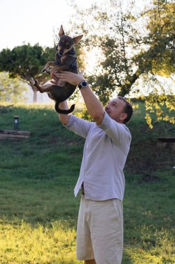 Gülümseyen orta yaşlı bir adam halka açık bir parkta küçük bir köpekle yürüyor ve oynuyor, barınaktan evlat edinilmiş çok cins bir fare teriyeri, birlikte mutlu zaman, aktiviteler ve bir evcil hayvanla açık hava oyunları,