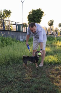 Gülümseyen orta yaşlı bir adam halka açık bir parkta küçük bir köpekle yürüyor ve oynuyor, barınaktan evlat edinilmiş çok cins bir fare teriyeri, birlikte mutlu zaman, aktiviteler ve bir evcil hayvanla açık hava oyunları,