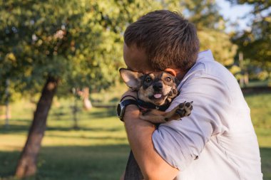 Gülümseyen orta yaşlı bir adam halka açık bir parkta küçük bir köpekle yürüyor ve oynuyor, barınaktan evlat edinilmiş çok cins bir fare teriyeri, birlikte mutlu zaman, aktiviteler ve bir evcil hayvanla açık hava oyunları,