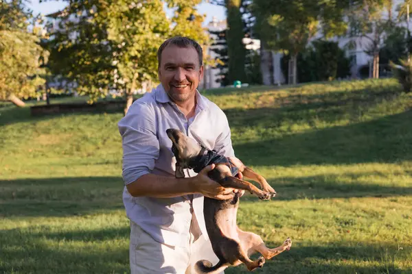 stock image Smiling middle-aged man walks and plays with a small dog in public park, adopted from a shelter multi breed rat terrier puppy, happy time together, activity and leisure outdoors games with a pet, pet