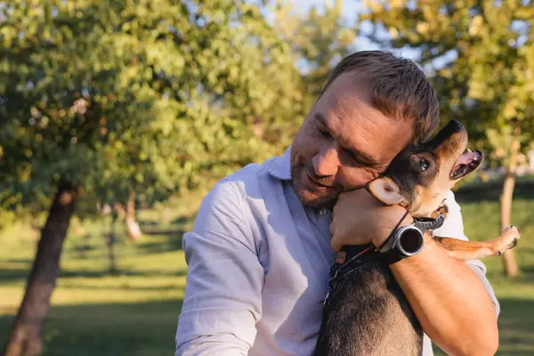 stock image Smiling middle-aged man walks and plays with a small dog in public park, adopted from a shelter multi breed rat terrier puppy, happy time together, activity and leisure outdoors games with a pet, pet