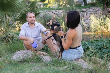 Bir köpekle yürüyen mutlu bir çift, parkta sarılıp öpüşüyor yaz günbatımında, erkek ve kadın portresi, birlikte kolay ve keyifli bir zaman, büyük bir yaş ile ilişki kavramı