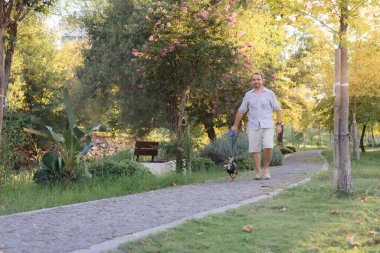 Gülümseyen orta yaşlı bir adam halka açık bir parkta küçük bir köpekle yürüyor ve oynuyor, barınaktan evlat edinilmiş çok cins bir fare teriyeri, birlikte mutlu zaman, aktiviteler ve bir evcil hayvanla açık hava oyunları,