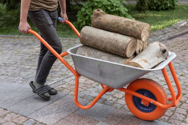 Bir adam odun taşır. Bahçesinde kütükler olan bir inşaat arabası. Bahçecilik ve bahçıvanlık konsepti. Ekoloji teması. Banyo, şömine ve ısıtma için odun.