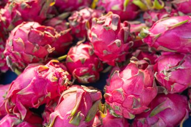 Canlı bir ejderha meyvesi koleksiyonu parlak pembe derilerini yeşil pullarla süslüyor. Meyveler yerel bir pazarda üst üste yığılarak görsel açıdan cazip bir görüntü oluşturuyor. Ayarlar...