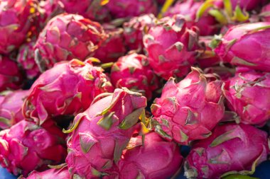 Canlı bir ejderha meyvesi koleksiyonu parlak pembe derilerini yeşil pullarla süslüyor. Meyveler yerel bir pazarda üst üste yığılarak görsel açıdan cazip bir görüntü oluşturuyor. Ayarlar...