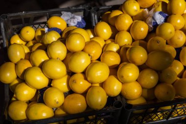 Parlak sarı limonların bol miktarda sergilenmesi canlı bir pazarda birkaç sepet doldurur. Güneş ışığı meyvenin üzerine sıcak bir parıltı saçarak canlı rengini ve dokusunu vurgular. Müşteriler görülebilir.