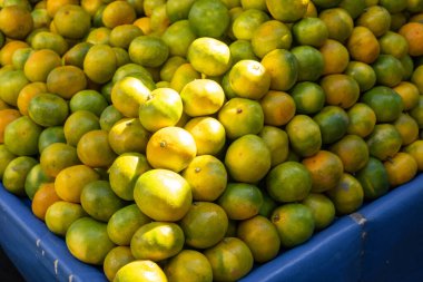 Taze narenciye meyvelerinin renkli bir görüntüsü mavi bir sandığı dolduruyor, çeşitli sarı ve yeşil tonlarını sergiliyor. Güneş ışığı, meyvelerin parlak cildini aydınlatarak sahneyi aydınlatıyor. Çok canlı.