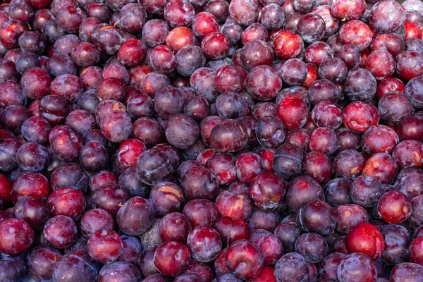 stock image beautiful ripe juicy purple plums on the counter of a market or store, seasonal summer harvest, healthy sweet fruits, close-up, blurred background