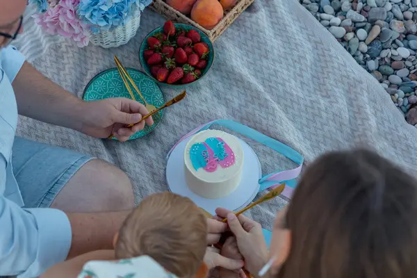 Neşeli bir aile, cinsiyet partisi için nehir kenarında toplanıyor. Pembe ve mavi renklerle süslenmiş küçük bir pasta, taze meyvelerle çevrili bir battaniyenin üzerinde oturur. Aileler pastayı kesmeye hazırlanırken,