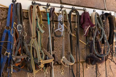 Ahırın duvarına asılmış uzun bir sıra at halatı ve ipuçları. Çeşitli renkler ve malzemeler, atların yönetiminde kullanılan araçları gösteriyor.