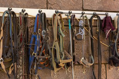 Ahırın duvarına asılmış uzun bir sıra at halatı ve ipuçları. Çeşitli renkler ve malzemeler, atların yönetiminde kullanılan araçları gösteriyor.