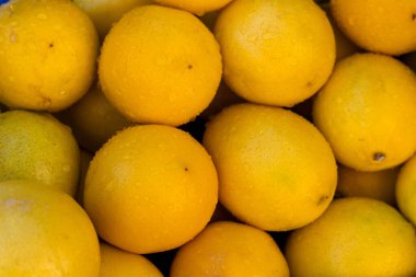 Taze limonların renkli çeşitleri düzgünce istiflenmiş, parlak sarı renklerini sergiliyorlar. Limonlar sulu ve olgun görünüyor, sıcak bir günün parlak güneş ışığını yansıtıyorlar..