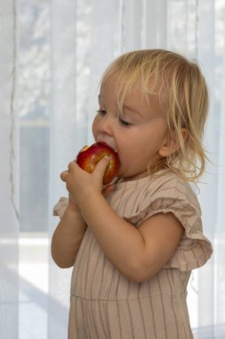Yeni yürümeye başlayan bir çocuk, canlı bir oyun odasında elmanın tadını çıkarırken yerde rahatça oturuyor. Güneş ışığı perdelerin arasından akar ve yakınlardaki neşeli bir mutfak düzenini aydınlatır..