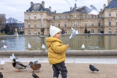 Küçük bir çocuk parkta sakin bir göletin kenarında duruyor, çeşitli kuşları izliyor. Çocuk parlak sarı bir ceket ve beyaz bir şapka giymiş, ailesiyle birlikte kış gününün tadını çıkarıyor. Paris 'te tatil