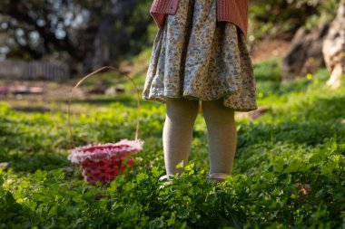 Çocuklar bir Paskalya yumurtası avı sırasında canlı bir bahçede toplanıyor, yemyeşil yeşillikler arasında saklı yumurtaları ararken, renkli pembe sepetler içinde ikramlar tutuyorlar. Elbiseli sarışın kız.