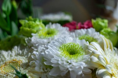 Beyaz papatyalar, canlı yeşiller ve narin pembeler de dahil olmak üzere çeşitli çiçeklerle dolu bir buket, bahar aylarında parlak bir iç mekanda güzel çiçekler açar..