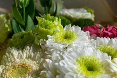 Beyaz papatyalar, canlı yeşiller ve narin pembeler de dahil olmak üzere çeşitli çiçeklerle dolu bir buket, bahar aylarında parlak bir iç mekanda güzel çiçekler açar..
