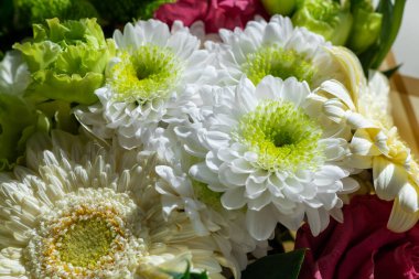 Beyaz papatyalar, canlı yeşiller ve narin pembeler de dahil olmak üzere çeşitli çiçeklerle dolu bir buket, bahar aylarında parlak bir iç mekanda güzel çiçekler açar..