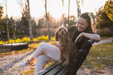 Sevgi dolu bir sahip, güneşli bir parkta bir bankta oturur ve cocker spaniel cinsi köpeğiyle neşeyle etkileşim içindedir. Altın saat, doğanın ortasındaki bağlarını güçlendiren sıcak bir parıltı saçar..