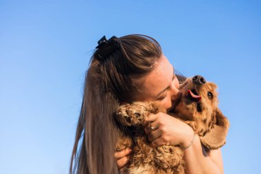 Bir kadın, cocker spaniel köpeğine sevinçle sarılır. Köpek coşkuyla yüzünü yalıyor, parlak mavi gökyüzünün arka planında, güçlü bağlarını gösteriyor..