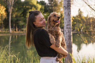 Genç güzel bir kadın ve cocker spaniel köpeğinin portresi, halk parkında yaz günbatımı kadın evcil hayvanını kucaklıyor ve öpüyor, aşk ve arkadaşlık, mutlu hayvan sahibi.