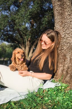 Kucağında cocker spaniel 'i olan güçlü bir ağacın yanında dinlenen bir kadın. İkisi de neşe ve şefkat ifadelerini sunuyor güneşli bir parkta, yeşil bir günde..