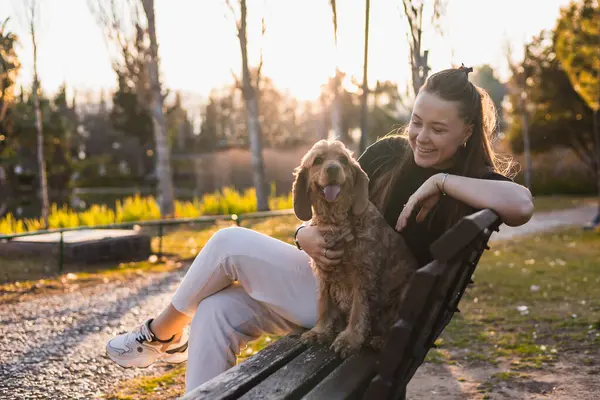 Sevgi dolu bir sahip, güneşli bir parkta bir bankta oturur ve cocker spaniel cinsi köpeğiyle neşeyle etkileşim içindedir. Altın saat, doğanın ortasındaki bağlarını güçlendiren sıcak bir parıltı saçar..