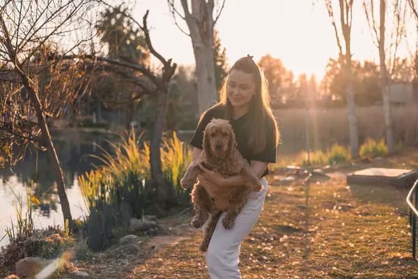 Küçük köpeğini kucaklayan ve kucaklayan genç kadın, cocker spaniel cins köpek yavrusu. Kamu parkında altın gün batımı, evcil hayvanlarla açık hava aktiviteleri